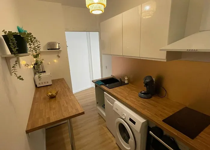 Apartamento Cosy - T1 - 35 M2 Lourdes