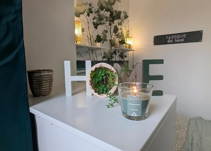 Cosy - T1 - 35 M2 Appartement Lourdes