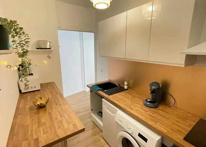 Cosy - T1 - 35 M2 Appartement